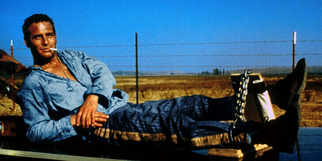 Cool Hand Luke 